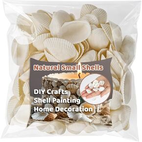 90 PCS White Sea Shells - 0.8-1.2 in Small Clam Shells Tiny Shells for Crafts Shells Bulk Sea Shells for Decorating Beach Theme Party Vase Filler Fish Tank