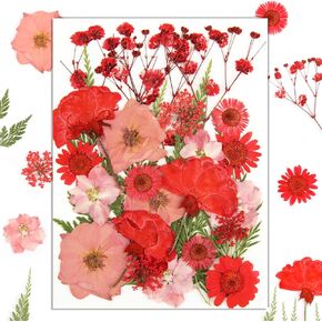 40 Pcs Mixed Dried Flowers for Resin,Dried Pressed Flowers,Dried Flowers for Nails,Purple Dried Flowers,Natural Dry Floral Resin Fillers Decoration Accessories for DIY Crafts,Craft Making(Purple)