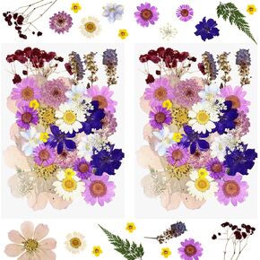 33PCS Real Dried Pressed Flowers Dried Florals Natural Herbs Kit for Resin Mold Scrapbooking DIY Art Crafts, Jewelry Molds, Candle, Soap Making, Mother's Day Birthday Gift (purple)