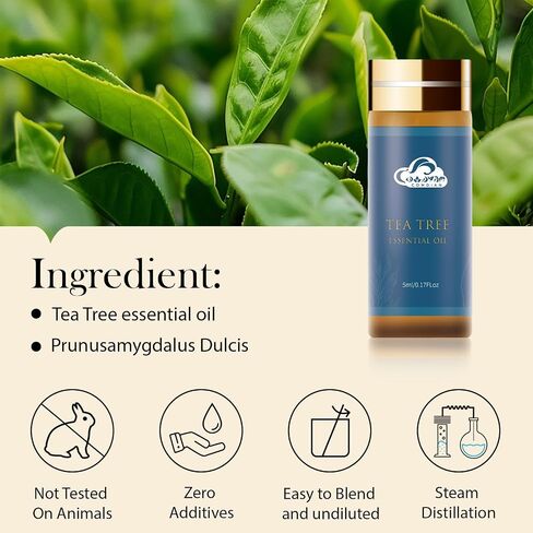 Essential Oils Set, Fragrance Oils for Skin, Diffusers for Home, Laundry, Fragrance, Candle Making - Tea Tree, Rosemary, Lavender, Vanilla, Eucalyptus and More, 14 x 5 ml(0.17 fl.oz in Saudi Arabia