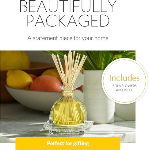 AGRARIA AirEssence & PetiteEssence Flower and Reed Diffuser Set, Luxury Home Scents Diffuser, Scented Oil Reed Diffuser, Flower and Reed Diffuser Gift Set for All Occasions in Saudi Arabia