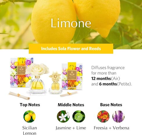 AGRARIA AirEssence & PetiteEssence Flower and Reed Diffuser Set, Luxury Home Scents Diffuser, Scented Oil Reed Diffuser, Flower and Reed Diffuser Gift Set for All Occasions in Saudi Arabia