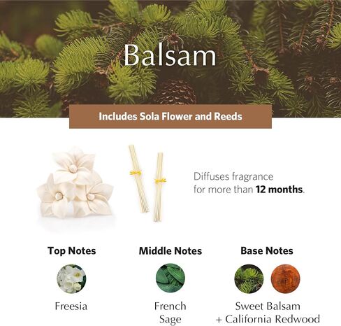 AGRARIA AirEssence & PetiteEssence Flower and Reed Diffuser Set, Luxury Home Scents Diffuser, Scented Oil Reed Diffuser, Flower and Reed Diffuser Gift Set for All Occasions in Saudi Arabia