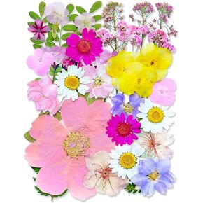 33Pcs Pink Pressed Dried Flowers for Resin, Real Natural Bulk Assorted Dry Floral Leaves for DIY Art Crafts, Epoxy Molds, Jewelry, Soap, Candle Making, Nails Decors