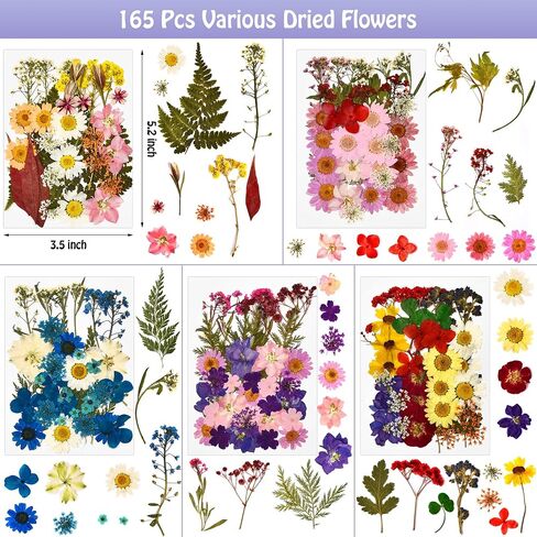 165Pcs Natural Pressed Dried Flowers Resin，Pressed Wildflowers，Real Natural Pressed Flowers for DIY Art Crafts,Epoxy Resin Jewelry Molds, Candle, Nails Décor, Craft Making,Coaster Making and More in Saudi Arabia
