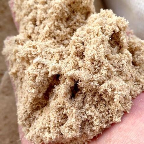 1 Pound Wood Sawdust PET Driedplant Finely Processed，Wood Flour，Free of Chemical Substances-Organic-High-Grade-Texture，Used for Horticultural Fertilizer，Filling，Handicrafts，etc in Saudi Arabia