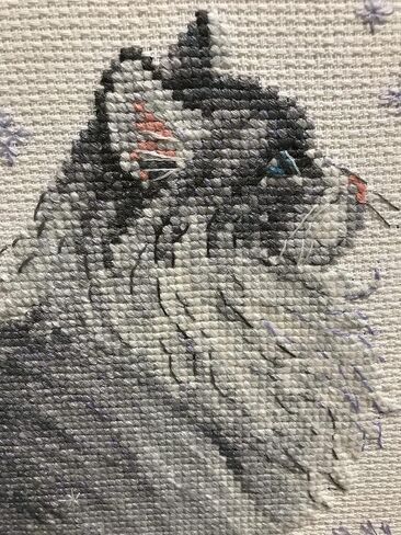 Riolis Cross Stitch Kit, 8.25 by 11.75-Inch in Saudi Arabia