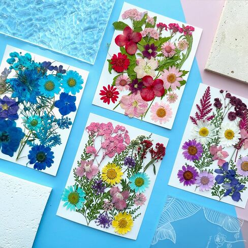 33Pcs Pink Pressed Dried Flowers for Resin, Real Natural Bulk Assorted Dry Floral Leaves for DIY Art Crafts, Epoxy Molds, Jewelry, Soap, Candle Making, Nails Decors in Saudi Arabia