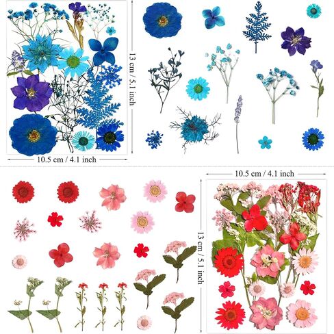 33Pcs Pink Pressed Dried Flowers for Resin, Real Natural Bulk Assorted Dry Floral Leaves for DIY Art Crafts, Epoxy Molds, Jewelry, Soap, Candle Making, Nails Decors in Saudi Arabia