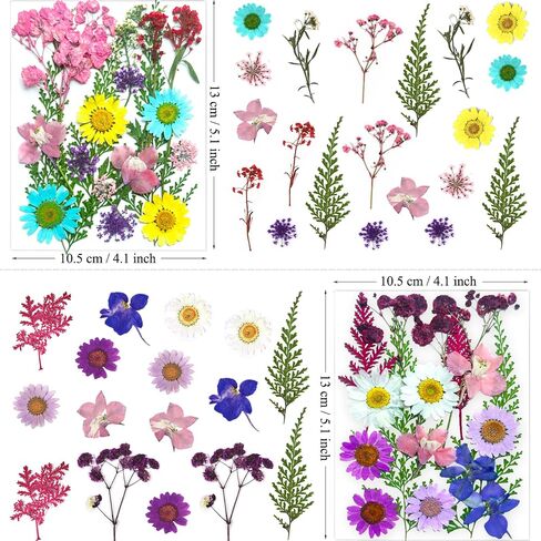 33Pcs Pink Pressed Dried Flowers for Resin, Real Natural Bulk Assorted Dry Floral Leaves for DIY Art Crafts, Epoxy Molds, Jewelry, Soap, Candle Making, Nails Decors in Saudi Arabia
