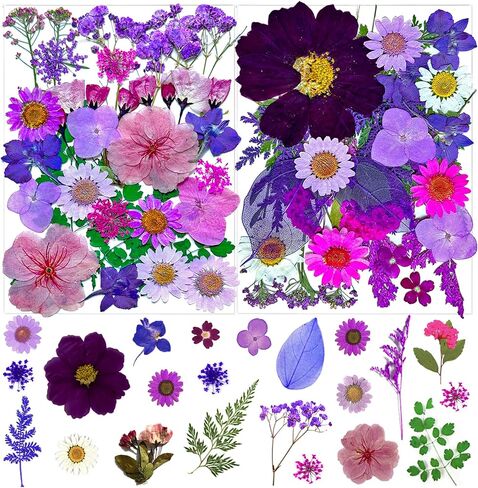 33Pcs Pink Pressed Dried Flowers for Resin, Real Natural Bulk Assorted Dry Floral Leaves for DIY Art Crafts, Epoxy Molds, Jewelry, Soap, Candle Making, Nails Decors in Saudi Arabia