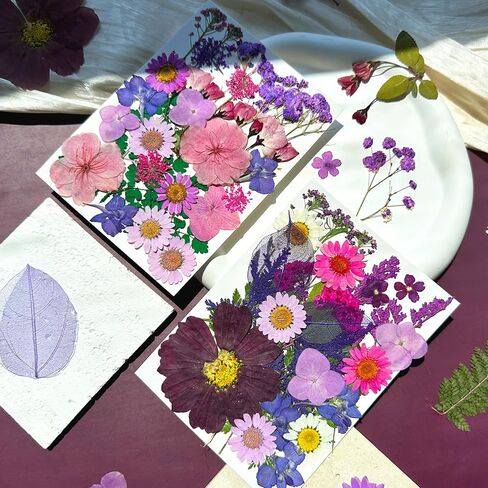 33Pcs Pink Pressed Dried Flowers for Resin, Real Natural Bulk Assorted Dry Floral Leaves for DIY Art Crafts, Epoxy Molds, Jewelry, Soap, Candle Making, Nails Decors in Saudi Arabia