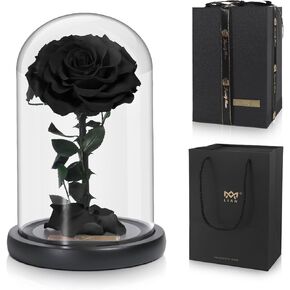 Lian Preserved Rose Roses in Glass Dome，Made from Real Fresh Beauty Rose, Preserved Roses Never Withered Romantic Gifts for Female, Valentine's Day, Mother's Day, Birthday, Anniversary, Wedding