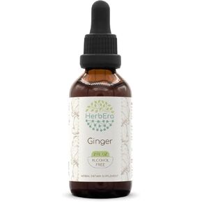 Ginger B60 Alcohol-Free Herbal Extract Tincture, Super-Concentrated Ginger (Zingiber officinale) 2 fl oz