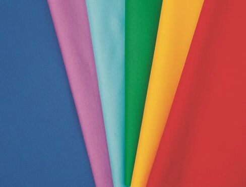 Connecting Threads Color Wheel Precut 40 pcs 100% Cotton Quilting Fabric Bundle 2.5" Strips (White) in Saudi Arabia
