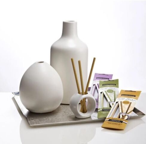 Essential Elements Flameless Fragrance Vanilla and Sandalwood Scent Sticks by Candle-Lite Company in Saudi Arabia