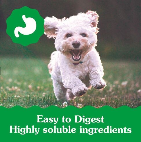 Greenies Puppy Regular Size Natural Dental Dog Treats, 6 oz. Pack (6 Treats) in Saudi Arabia