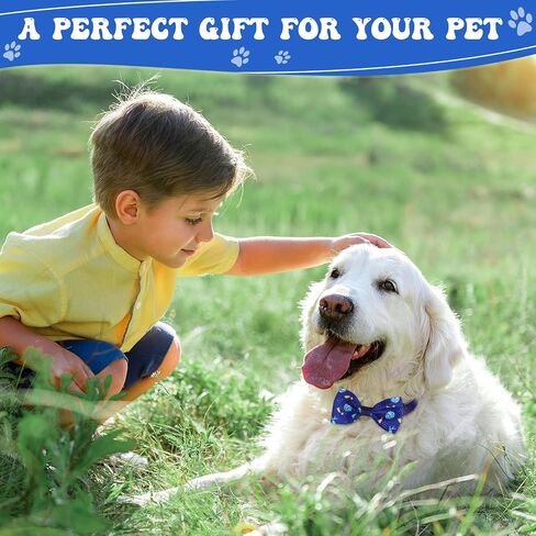Reginary 100 Pieces Dog Bows Set Include Dog Bows Bow Ties for Dogs Bows, 50 Dog Bow Ties and 50 Dog Neckties for Small Medium Dogs Supply (Rainbow) in Saudi Arabia