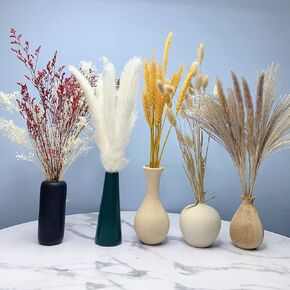 81 Pcs Dried Pampas Grasses Boho Pampas Grass Decor Dried Flowers Bouquet Pampas Grass Branches Palm Leaves Party Decorations for Wedding Home ( Pampas Grass)