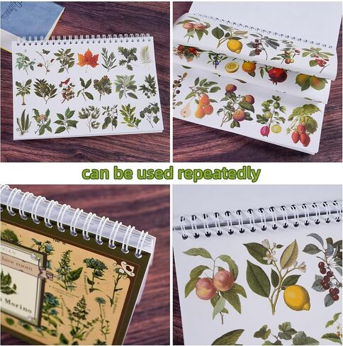 50 Sheet Vintage Washi Stickers, Scrapbook Botanical Stickers, A5 Size Vintage Floral Botanical Nature Sticker Book Ephemera for Junk Journals, Planners, Diary Collage (A) in Saudi Arabia