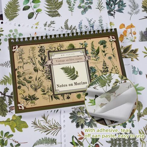 50 Sheet Vintage Washi Stickers, Scrapbook Botanical Stickers, A5 Size Vintage Floral Botanical Nature Sticker Book Ephemera for Junk Journals, Planners, Diary Collage (A) in Saudi Arabia