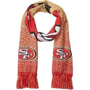 FOCO NFL unisex-adult Polyknit Big Logo Scarf