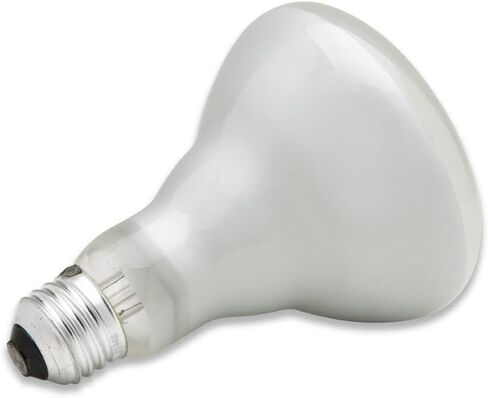 lumenivo Replacement for Sylvania Lighting BR30 65 Watt Flood Light Bulbs Indoor Frosted BR30 65W Indoor Flood Light with E26 Medium Screw Base - Soft White - 120V - 12 Pack in Kuwait