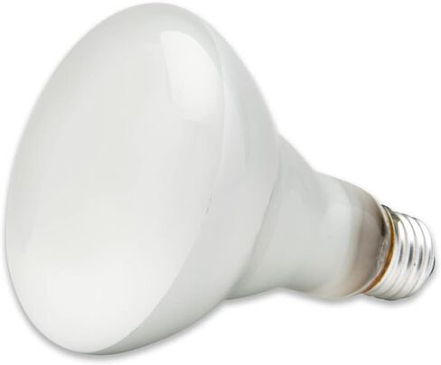 lumenivo Replacement for Sylvania Lighting BR30 65 Watt Flood Light Bulbs Indoor Frosted BR30 65W Indoor Flood Light with E26 Medium Screw Base - Soft White - 120V - 12 Pack in Kuwait