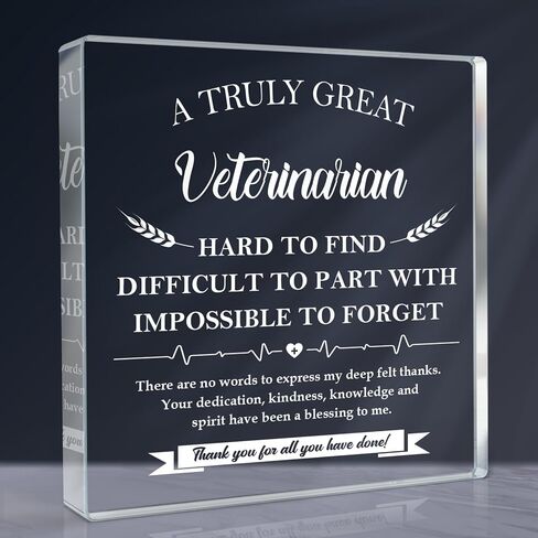 Mentor Gifts for Women Men - Thank You Gifts for Mentor, Graduation Gifts Mentor Plaque -Teacher's Day Gifts, Leaving Going Away Retirement Birthday Appreciation Gifts for Mentor, Coworker in Saudi Arabia