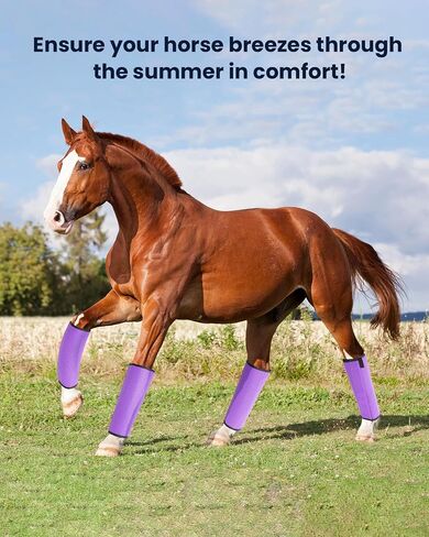 Premium Horse Fly Boots, Ultimate Protection Set for Horse Legs - Breathable Mesh, Stay-on Design, Stomp Reduction (Set of 4)-Rose Red in Saudi Arabia