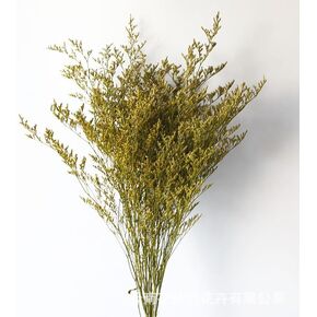 باقة ليمونيوم طبيعية محفوظة مقاس 19-23 بوصة، 28+ سيقان كاسبيا بيليفوليوم طازجة حقيقية، لافندر البحر، زهور نفس الطفل، لأعياد ميلاد الزفاف، ديكور المنزل (أصفر) in Kuwait