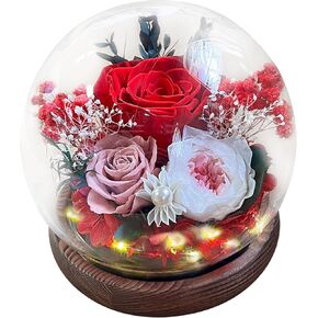 Preserved Flowers Glass Dome LED - Eternal Rose That Last Over 1 Year Gift for Wife Girlfriend Daughter Valentines Day Mothers Day Anniversary Day Birthday Christmas (Red)