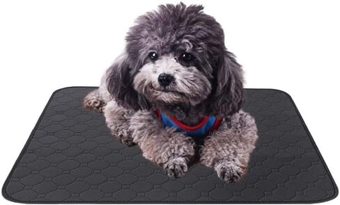 Reusable & Washable Incontinence Pads for Elderly Chair Protector Wheelchair Seat Cover Puppy Absorbent Waterproof Furniture Pads in Saudi Arabia