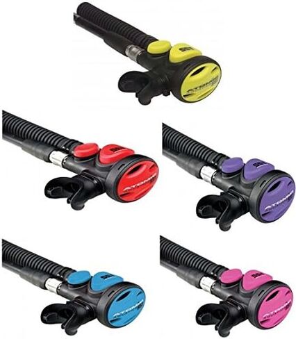 Atomic Color Kit for SS1 Regulator in Kuwait