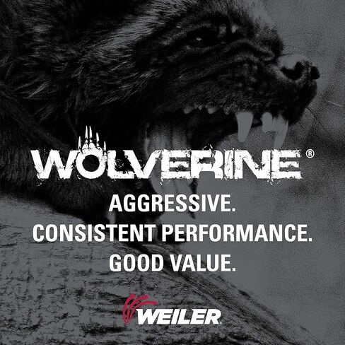 عجلة قطع Weiler 56099 مقاس 4 بوصات، قطع سريع من الفولاذ/المعدن Wolverine AO، قطع قيمة، 1/8 بوصة A36T نوع 1 3/8 بوصة (عبوة من 25 قطعة) in Saudi Arabia