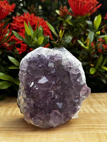 GAF TREASURES Amethyst Cluster, Amethyst Geode, Raw Amethyst, Amethyst Cathedral, Amethyst Druze (1-1.5 lb) in Saudi Arabia