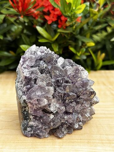 GAF TREASURES Amethyst Cluster, Amethyst Geode, Raw Amethyst, Amethyst Cathedral, Amethyst Druze (1-1.5 lb) in Saudi Arabia