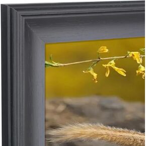 11x23 Picture Frame Solid Wood 11x23 Poster Frame for Wall Display - Versatile 11x23 Photo Frame, Perfect For Family Photos and Artwork - Elegant Black Design (X23B1123)