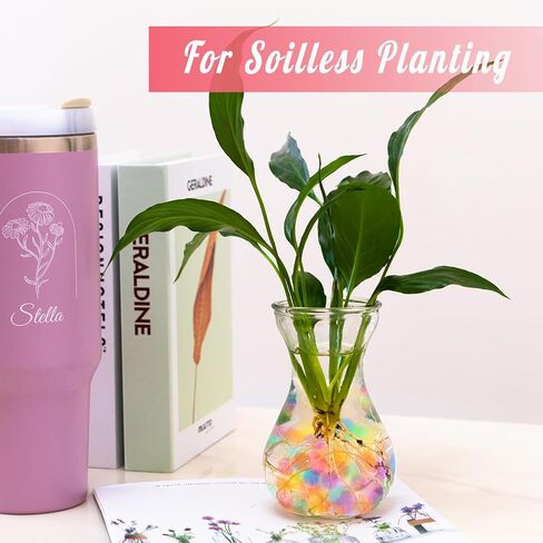 120,000 خرزة مائية للمزهريات، وخرز مائي مختلط بألوان قوس قزح، وحشو المزهرية لللؤلؤ العائم، وصناعة الشموع العائمة، وقطعة مركزية لحفلات الزفاف، وترتيب الزهور، وزينة عيد الميلاد in Kuwait