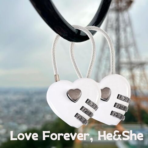 Heart Shaped Padlock,Love Padlock,Small Locker Locks,Love Lock for Jewelry Storage Box Locker Decor Valentine Gift,Combo Lock,Gym Locker Lock (Purple,2pcs) in Saudi Arabia
