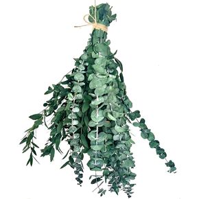 22 PCS Dried Eucalyptus for Shower Bundle, 17'' Real Large Preserved Eucalyptus Stems Shower Plants for Hanging, Fresh Eucalyptus Leaves, Fragrance, DIY Artificial Plant