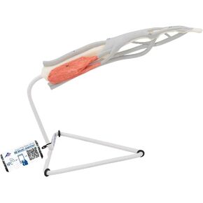 3B Scientific M19 نموذج هيكل الإصبع الداخلي - 3B التشريح الذكي in Kuwait