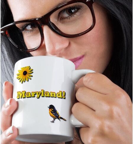 3dRose mug_37797_4 "Maryland" Two Tone Black Mug, 11 oz, Multicolor in Saudi Arabia