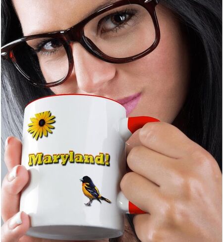 3dRose mug_37797_4 "Maryland" Two Tone Black Mug, 11 oz, Multicolor in Saudi Arabia