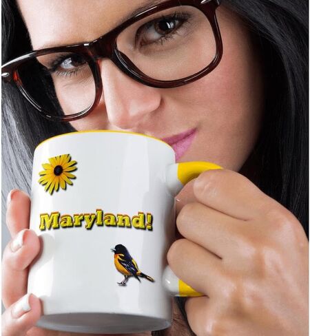 3dRose mug_37797_4 "Maryland" Two Tone Black Mug, 11 oz, Multicolor in Saudi Arabia