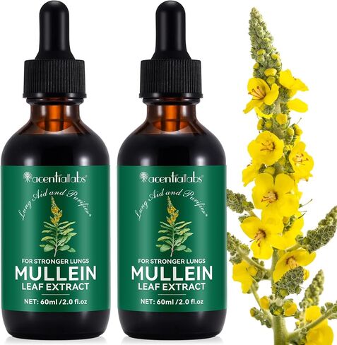 Mullein Drops for Lungs, Mullein Leaf Extract for Lungs, Mullein Leaf Tincture Drops, Powerful Mullein Leaf Liquid Extract Drops, Vegan Mullein Leaf Sublingual Fast Absorption, 2 OZ in Saudi Arabia