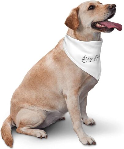 Big Brother Dog Bandana im Going to be Big Brother Peter Scarf, Gender Reveal Photo Props Accessories,Pregnancy Announcement Dog Bandana (White) in Saudi Arabia