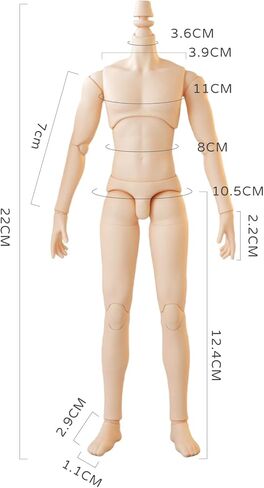 YMY Female Doll Body Obitsu22 Obitsu24 BJD girl Doll for GSC, Blythe,ICY,1/6 Scale Bjd Doll Head (normal white-22cm) in Kuwait