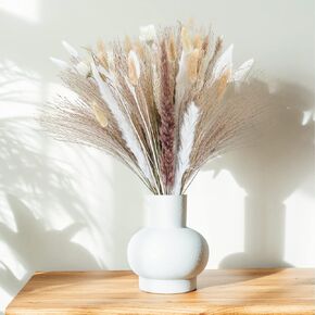 125PCS Natural Pampas Grass,Boho Home Decor Bouquet,6 Kinds of Pampas Grass Decor Set,16.5" Dried Flowers,Bouquet for Wedding Pampas Floral Arrangements Home Decorations