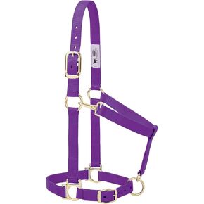 Weaver Leather Basic Adjustable Nylon Halter, Purple, 1" Average Horse